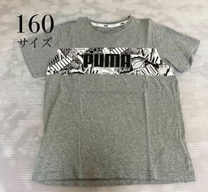 プーマ Tシャツ 半袖 ジュニア ALPHA グラフィックロゴ半袖Tシャツ 582925 PUMA 160サイズ