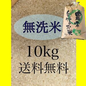 栃木産　白米　お米　限定　うるち米　格安　精米 10kg 令和5年　送料無料　送料込み　最安値　rice　新米 無洗米　美味しい　1