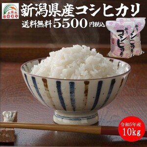 令和5年産 新潟県産コシヒカリ10kg (5kg×２袋）うまい米 米専門 みのりや 白米 ポイント消化 送料無料
