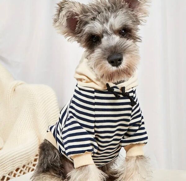 犬服 猫服 ボーダー柄 ペット服 ドッグウェア 犬用品 ペット用品 パーカー ボーダー Мサイズ 可愛い