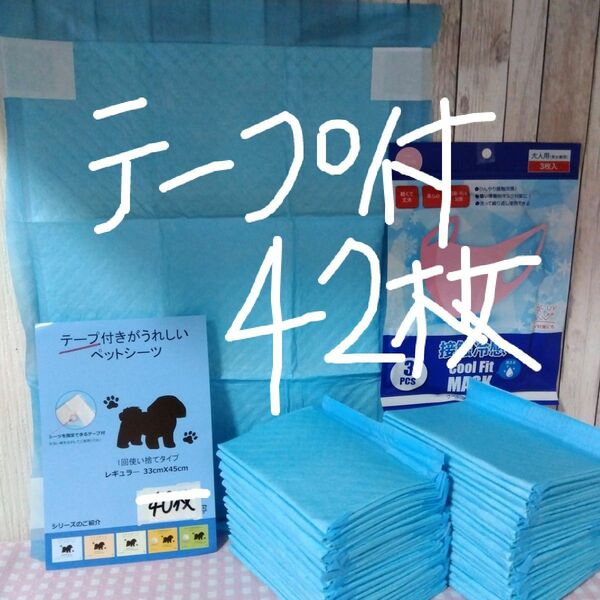 カテ変OK！新登場！ずれ防止シール付ペットシーツ42枚！超薄型レギュラーサイズ！