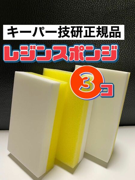 【キーパー技研正規品】レジンスポンジ3個セット