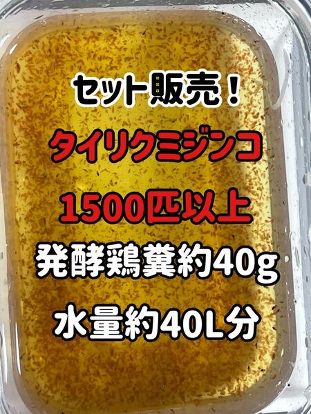 タイリクミジンコ1500匹以上と鶏糞40g