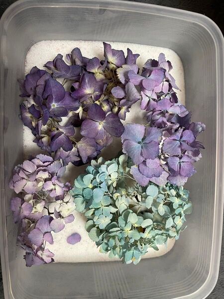 あじさい ドライフラワー 紫陽花 ハンドメイド