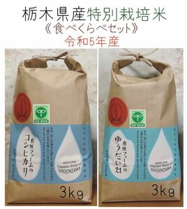 栃木県産コシヒカリ、ゆうだい21【食べくらべセット】白米3kg×2