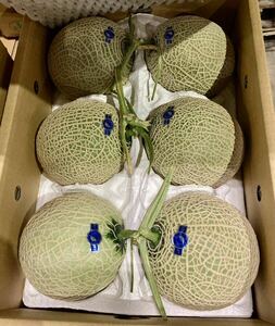 a-rus melon boxed 7~8kg 5~6 sphere 2