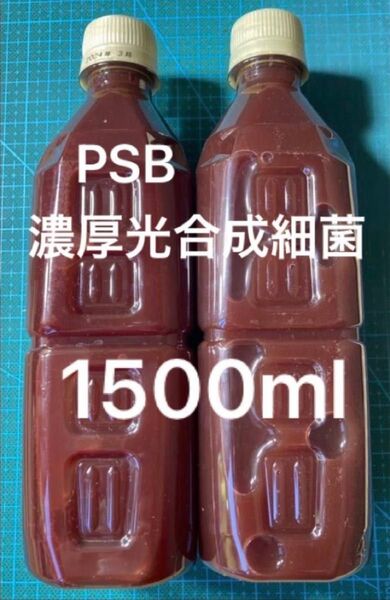 光合成細菌 PSB 約1500ml