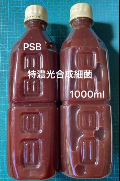 光合成細菌 PSB 約1000ml