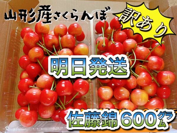 山形県産　さくらんぼ　佐藤錦　訳あり品　600g