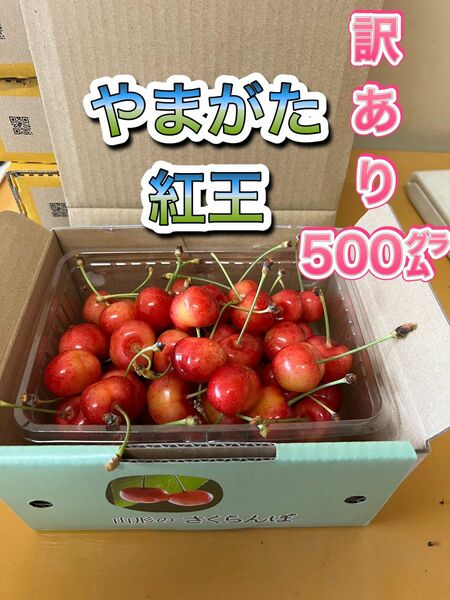 山形県産　さくらんぼ　紅王　500グラム　訳あり品