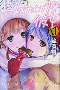 【ご奉仕価格】ドメスティックな彼女 17 レンタル落ち 中古 コミック Comic