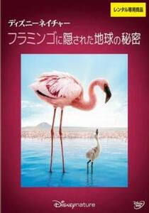 ケース無::【ご奉仕価格】ディズニーネイチャー フラミンゴに隠された地球の秘密 レンタル落ち 中古 DVD