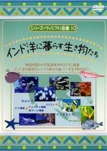 ケース無::【ご奉仕価格】シリーズ・ヴィジアル図鑑 10 インド洋に暮らす生き物たち レンタル落ち 中古 DVD