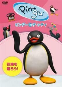 ケース無::bs::ピングー in ザ・シティ 花束を贈ろう! レンタル落ち 中古 DVD