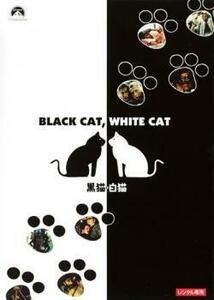 【ご奉仕価格】bs::黒猫 白猫【字幕】 レンタル落ち 中古 DVD