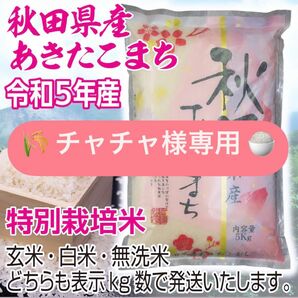 農家直送 秋田県産 令和5年 あきたこまち ６kg 特別栽培米 秋田小町