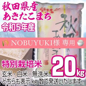 農家直送 秋田県産 令和5年 あきたこまち 20kg 特別栽培米 秋田小町