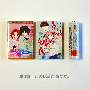 豆ガシャ本 河原和音 作品コレクション 2冊セット ガチャ 別冊マーガレット 豆本 ミニチュア 高校デビュー 素敵な彼氏