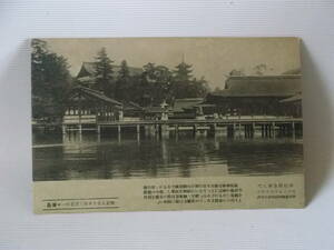 ３７３　戦前　古　絵はがき　ポストカード　絵葉書　エハガキ　えはがき　郵便はがき　写真　CARTE POSTALE