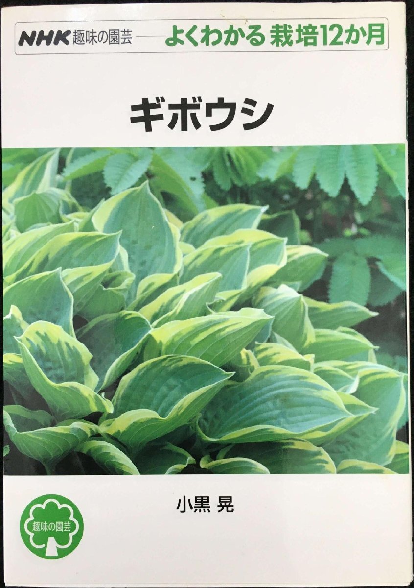 2025年最新】Yahoo!オークション -ギボウシ(本、雑誌)の中古品 2025年最新】Yahoo!オークション -ギボウシ(本、雑誌)の中古品