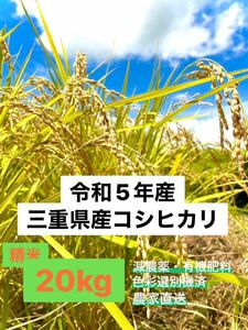 . peace 5 year .. three-ply prefecture production Koshihikari 20kg. rice ( white rice ) production ground * agriculture house direct delivery 
