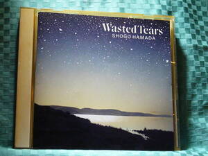 [CD] 浜田省吾 WASTED TEARS 