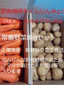 千葉県産　新じゃがいもキタアカリと訳有にんじん　常備野菜セット　中身のみで計8kg　