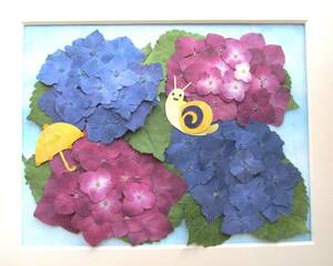 * pressed flower material *.... and . pile .~ blue . pink * umbrella .~*26 size 