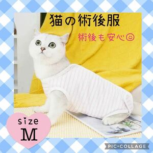 Mサイズ　猫用　術後服　引っ掻き防止　ボーダー　レッド　傷口保護　簡単着脱