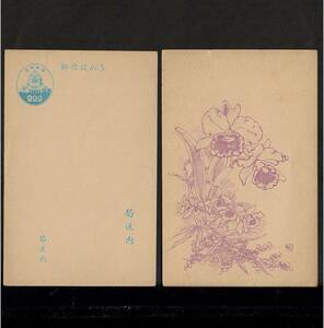  hot middle see Mai postcard Showa era 25 year for * orchid flower 