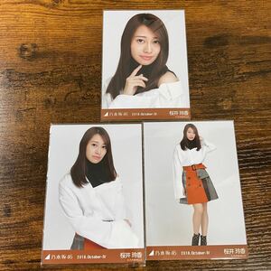 乃木坂46 桜井玲香 2018 October 生写真 コンプ 