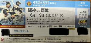 6月9日(日)阪神vs西武 ブリーズシート 1枚 良席