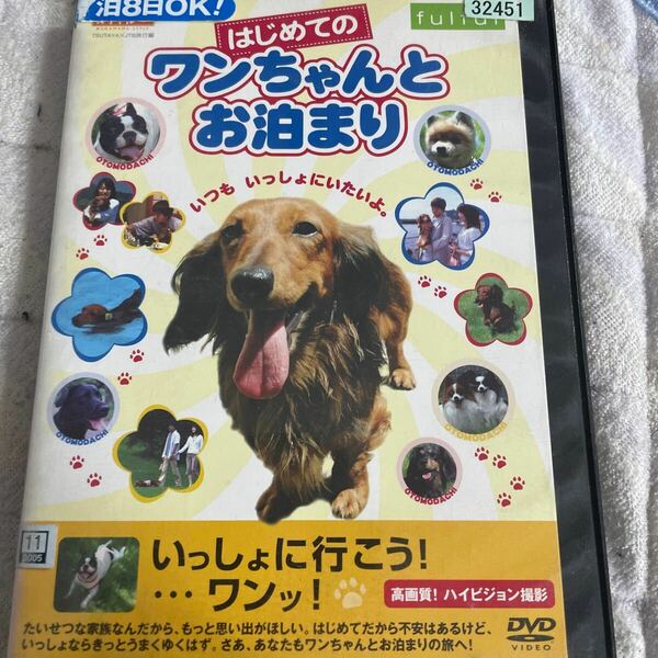 DVD ワンちゃんとお泊まり　レンタル版　t21