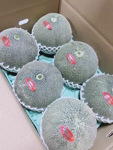 . after green melon! production person direct sale LA