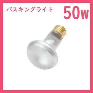 50W★バスキングライト1個(爬虫類ライト)タイトビームB0041