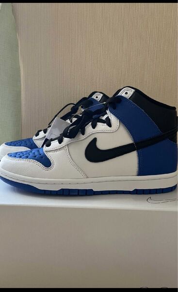 NIKE DUNK HIGH By You 25.5cm