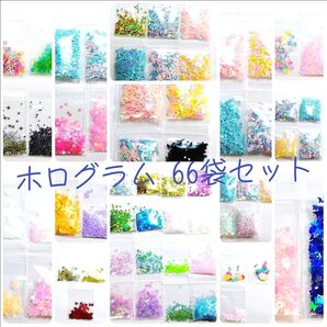 ホログラム 22種66袋セット(平均1.3g入り)