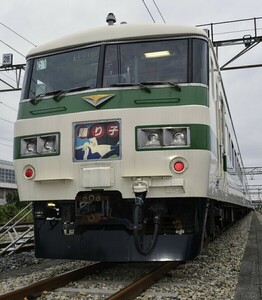 185系引退記念関連商品【185系0番台・200番台「普通車の客室用カーテン」】A・Ｂ・C編成・ｃ1編成・B6編成使用柄　 約70cm × 約120cm 1枚 