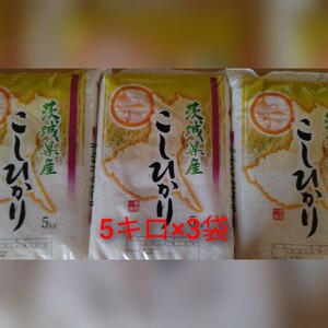  Ibaraki префектура производство Koshihikari белый рис 15 kilo (5 kilo ×3 пакет )