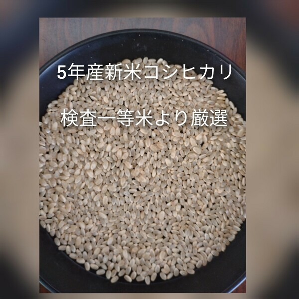茨城県産コシヒカリ玄米25キロ（内容量24.7キロ）小分け不可