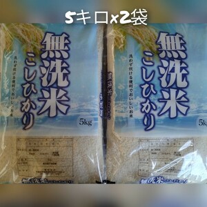 【無洗米】茨城県産コシヒカリ10キロ（5キロ×2袋）