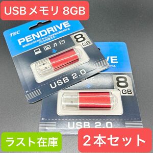 【ラスト1点】TEC USBメモリ USB2.0 キャップ式 8GB TCPUSB8 USB フラッシュメモリ レッド　2本セット