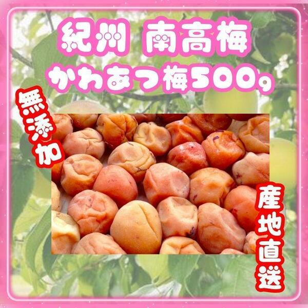 限定 人気！紀州南高梅 500g かわあつ つぶれ 無添加 和歌山 紀州 白梅