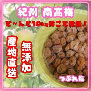  great popularity!.. south height plum .10kg collapse plum no addition Wakayama .. white plum 