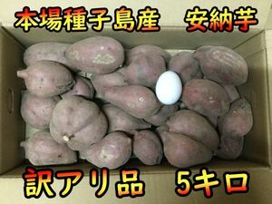 【完熟！】訳アリ品　安納芋紅（SMLサイズ混合）　5kg【本場種子島産】