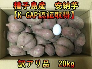 【本場種子島産】訳アリ品　安納芋紅（SMLサイズ混合）　20kg【K-GAP取得】