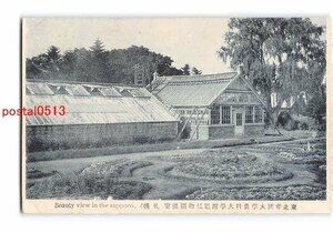 Xs6394●北海道 札幌 東北帝国大学農科大学付属植物園温室【絵葉書】