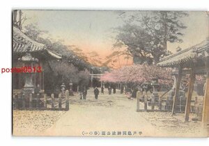 Xs5256●長崎 手彩色 平戸亀岡神社公園【絵葉書】