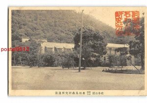 Xv1955●岐阜 岐阜公園 財団法人名和昆虫研究所遠望 エンタイア【絵葉書】