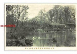 XyA8137●満州 関東庁博物館植物園内泉水の景【絵葉書】